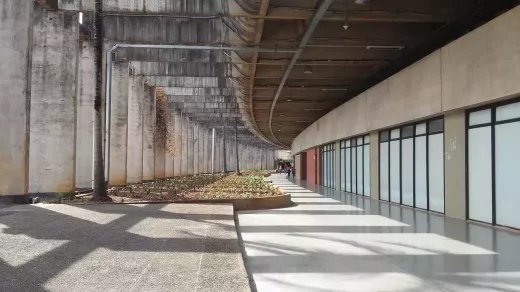 כוכבים פופולריים שהיו זוכי אוסקר